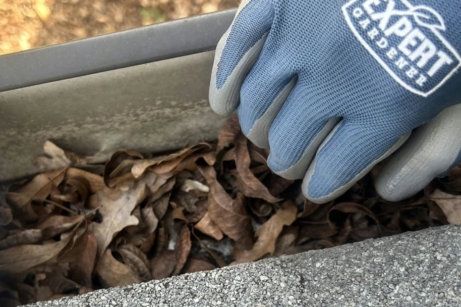 Gutter Cleaning Fishers IN